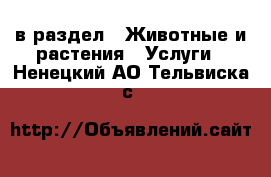  в раздел : Животные и растения » Услуги . Ненецкий АО,Тельвиска с.